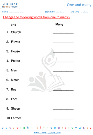 Grade 1  English worksheet: One and many