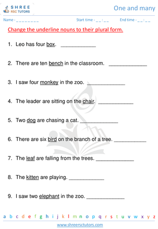 Grade 1  English worksheet: One and many