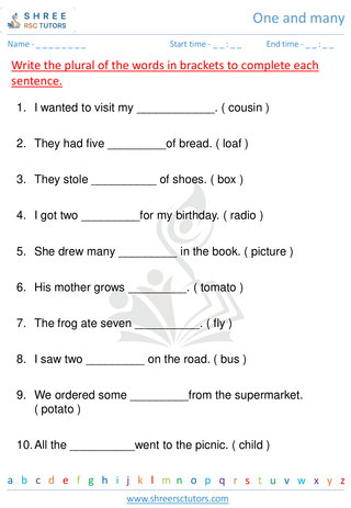 Grade 1  English worksheet: One and many