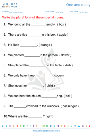 Grade 1  English worksheet: One and many