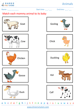 Grade 1  Science worksheet: Animals - Animal world