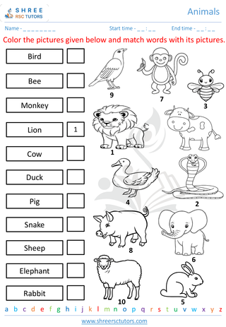Grade 1  Science worksheet: Animals - Animal world