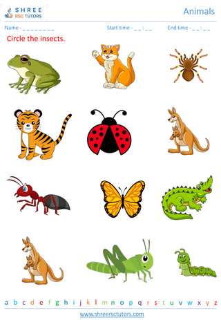 Grade 1  Science worksheet: Animals - Animal world