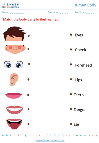 Grade 1  Science worksheet: Human Body - Our body