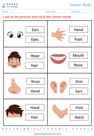 Grade 1  Science worksheet: Human Body - Our body