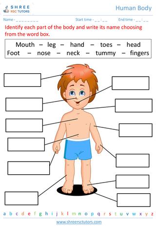 Grade 1  Science worksheet: Human Body - Our body