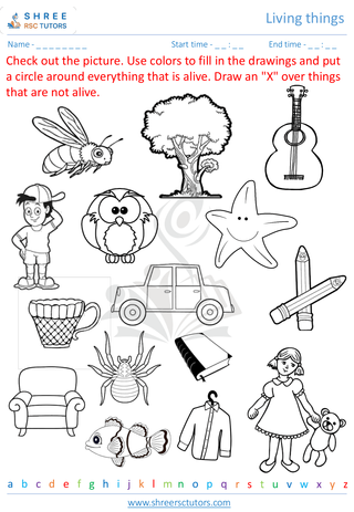 Grade 1  Science worksheet: Living things - Alive world