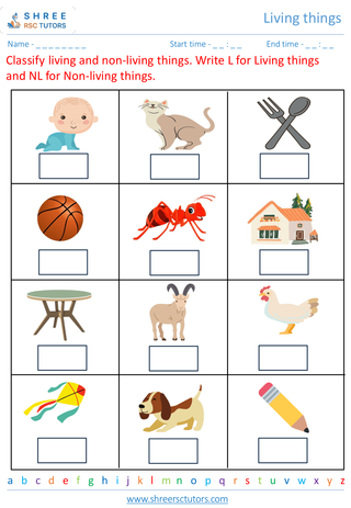 Grade 1  Science worksheet: Living things - Alive world