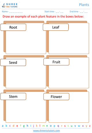 Grade 1  Science worksheet: Plants - Plants life