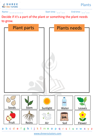 Grade 1  Science worksheet: Plants - Plants life