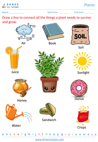 Grade 1  Science worksheet: Plants - Plants life