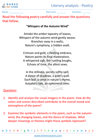 Grade 10  English worksheet: Literary analysis - Poetry