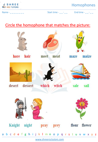 Grade 2  English worksheet: Homophones