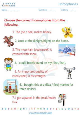 Grade 2  English worksheet: Homophones