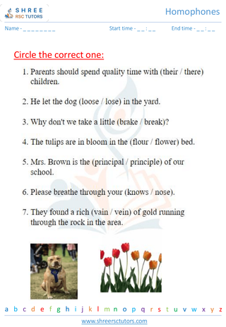 Grade 2  English worksheet: Homophones