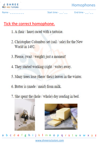 Grade 2  English worksheet: Homophones