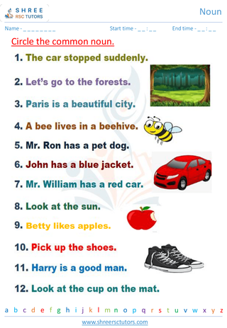 Grade 2  English worksheet: Noun