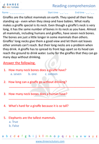 Grade 2  English worksheet: Reading comprehension