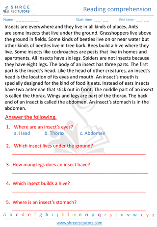 Grade 2  English worksheet: Reading comprehension