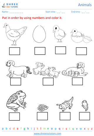 Grade 2  Science worksheet: Animals - Animal life cycle