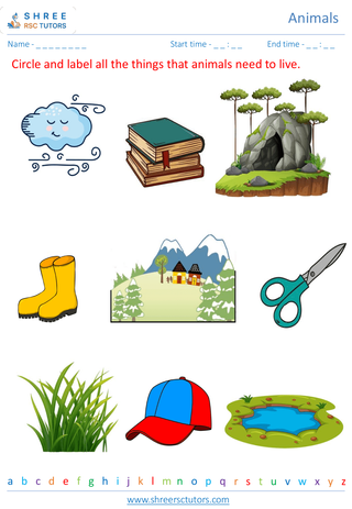 Grade 2  Science worksheet: Animals - Basic needs of animals