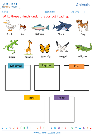 Grade 2  Science worksheet: Animals - Classification of animals