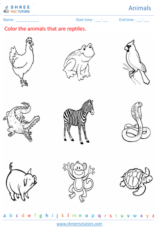 Grade 2  Science worksheet: Animals - Classification of animals