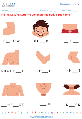 Grade 2  Science worksheet: Human Body - Body parts and their functions