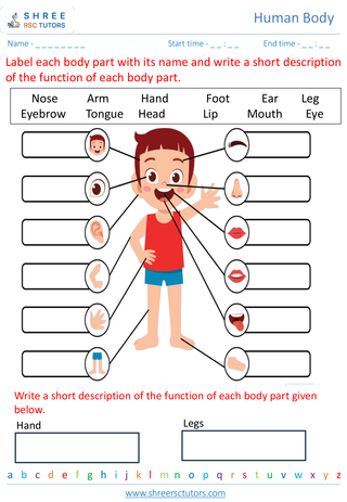 Grade 2  Science worksheet: Human Body - Body parts and their functions