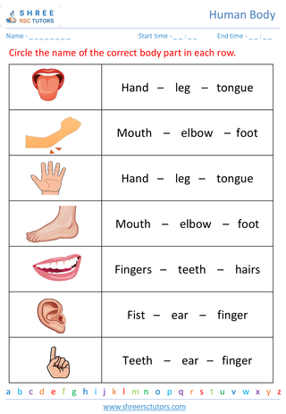 Grade 2  Science worksheet: Human Body - Body parts and their functions