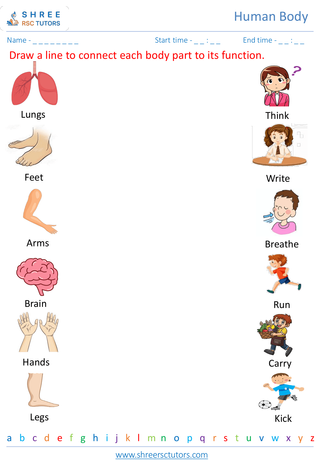 Grade 2  Science worksheet: Human Body - Body parts and their functions