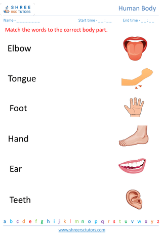 Grade 2  Science worksheet: Human Body - Body parts and their functions