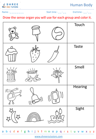 Grade 2  Science worksheet: Human Body - Senses