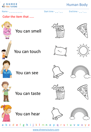 Grade 2  Science worksheet: Human Body - Senses