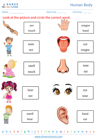 Grade 2  Science worksheet: Human Body - Senses