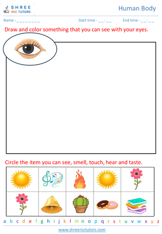 Grade 2  Science worksheet: Human Body - Senses