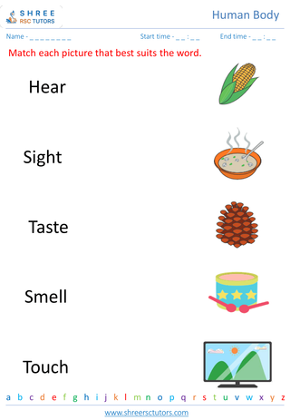 Grade 2  Science worksheet: Human Body - Senses