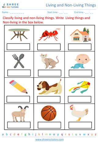 Grade 2  Science worksheet: Living and Non-Living Things - Distinguishing between living and non-living things