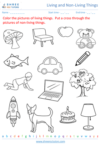 Grade 2  Science worksheet: Living and Non-Living Things - Distinguishing between living and non-living things