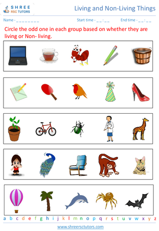 Grade 2  Science worksheet: Living and Non-Living Things - Identifying characteristics of living things