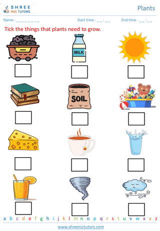 Grade 2  Science worksheet: Plants - Basic plant needs