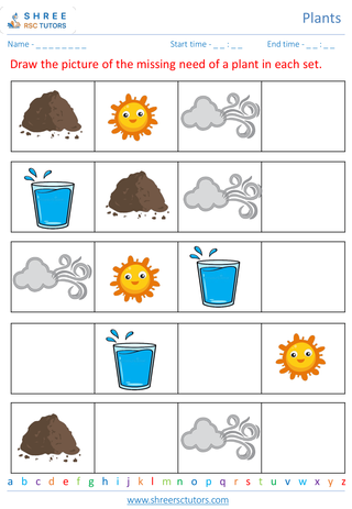 Grade 2  Science worksheet: Plants - Basic plant needs