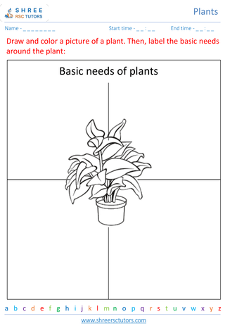 Grade 2  Science worksheet: Plants - Basic plant needs