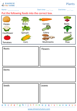 Grade 2  Science worksheet: Plants - Parts of a plant