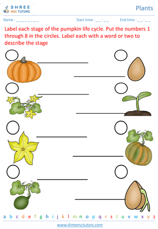 Grade 2  Science worksheet: Plants - Plant life cycle