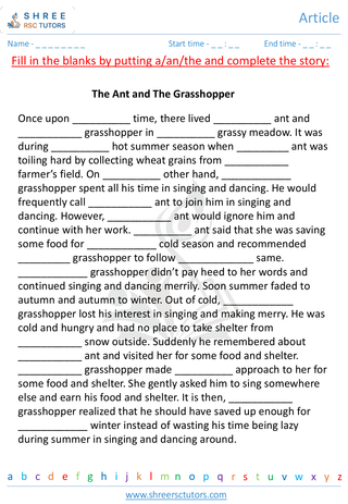 Grade 3  English worksheet: Articles