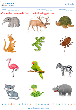Grade 3  Science worksheet: Animals - Classifying animals