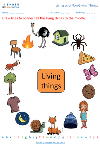 Grade 3  Science worksheet: Living and Non-Living Things - Differentiating between living and non-living things