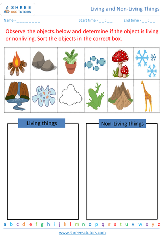 Grade 3  Science worksheet: Living and Non-Living Things - Differentiating between living and non-living things