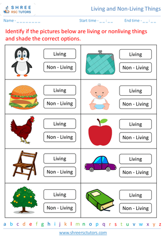 Grade 3  Science worksheet: Living and Non-Living Things - Differentiating between living and non-living things